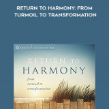 412-Steve-Taylor---Return-To-Harmony-From-Turmoil-To-Transformation