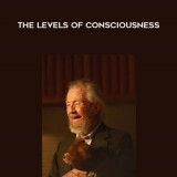 42-David-Hawkins---The-Levels-of-Consciousness