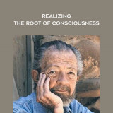 43-David-Hawkins---Realizing-the-Root-of-Consciousness