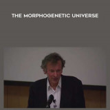 46-Rupert-Sheldrake---The-Morphogenetic-Universe