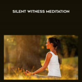 46-Stephane-Hemon---Silent-Witness-Meditation