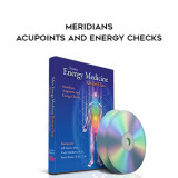 48-Donna-Eden---Meridians---Acupoints-and-Energy-Checks