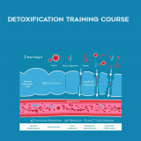 49-Body-Ecology---Detoxification-Training-Course.jpg