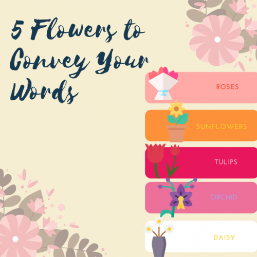 5-Flowers-to-Convey-Your-Words-3.png