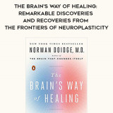 501-Norman-Doidge---The-Brains-Way-Of-Healing-Remarkable-Discoveries-And-Recoveries-From-The-Frontiers-Of-Neuroplasticity