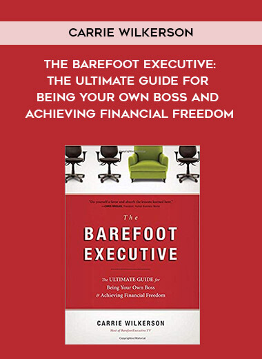 508-Carrie-Wilkerson---The-Barefoot-Executive-The-Ultimate-Guide-For-Being-Your-Own-Boss-And-Achieving-Financial-Freedom.jpg