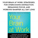 577-David-Rock---Your-Brain-At-Work-Strategies-For-Overcoming-Distraction-Regaining-Focus-And-Working-Smarter-All-Day-Long