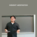 65-Goldstein-and-Sabberg---Insight-Meditation