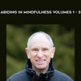 68-Joseph-Goldstein---Abiding-in-Mindfulness-Volumes-1---3