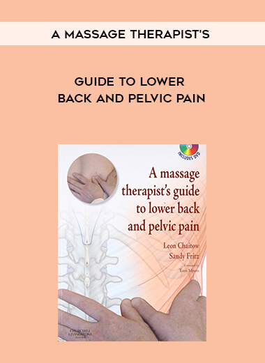 69-A-massage-therapists-guide-to-lower-back-and-pelvic-pain.jpg
