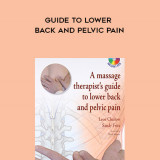 69-A-massage-therapists-guide-to-lower-back-and-pelvic-pain