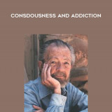 69-David-Hawkins---Consdousness-and-Addiction