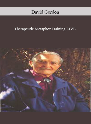 6David-Gordon---Therapeutic-Metaphor-Training-LIVE.jpg