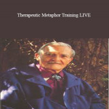 6David-Gordon---Therapeutic-Metaphor-Training-LIVE