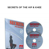 78-Gray-Cook---Secrets-of-the-Hip--knee