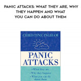 786-Christine-Ingham---Panic-Attacks-What-They-Are-Why-They-Happen-And-What-You-Can-Do-About-Them