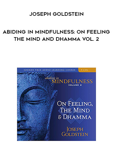 805-Joseph-Goldstein---Abiding-In-Mindfulness-On-Feeling-The-Mind-And-Dhamma-Vol.jpg