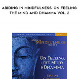 805-Joseph-Goldstein---Abiding-In-Mindfulness-On-Feeling-The-Mind-And-Dhamma-Vol