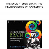 816-Rick-Hanson---The-Enlightened-Brain-The-Neuroscience-Of-Awakening
