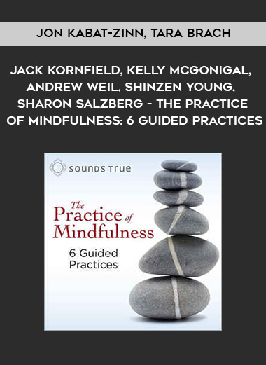 838-Jon-Kabat-Zinn-Tara-Brach-Jack-Kornfield-Kelly-McGonigal-Andrew-Weil-Shinzen-Young-Sharon-Salzberg---The-Practice-Of-Mindfulness-6-Guided-Practices.jpg