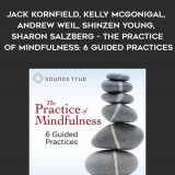 838-Jon-Kabat-Zinn-Tara-Brach-Jack-Kornfield-Kelly-McGonigal-Andrew-Weil-Shinzen-Young-Sharon-Salzberg---The-Practice-Of-Mindfulness-6-Guided-Practices