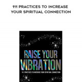 850-Kyle-Gray---Raise-Your-Vibration-111-Practices-To-Increase-Your-Spiritual-Connection