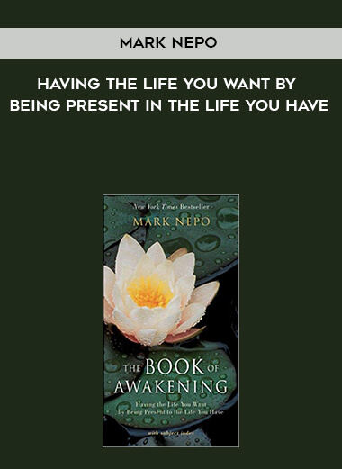 864-Mark-Nepo---The-Book-Of-Awakening-Having-The-Life-You-Want-By-Being-Present-In-The-Life-You-Have.jpg