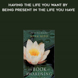 864-Mark-Nepo---The-Book-Of-Awakening-Having-The-Life-You-Want-By-Being-Present-In-The-Life-You-Have