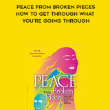 877-Iyanla-Vanzant---Peace-From-Broken-Pieces-How-To-Get-Through-What-Youre-Going-Through