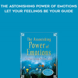924-Esther-Hicks-Jerry-Hicks---The-Astonishing-Power-Of-Emotions-Let-Your-Feelings-Be-Your-Guide