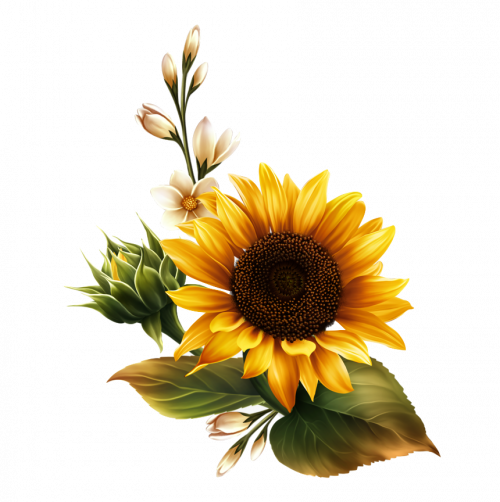 94 943145 sunflower watercolor png real sunflower transparent background png
