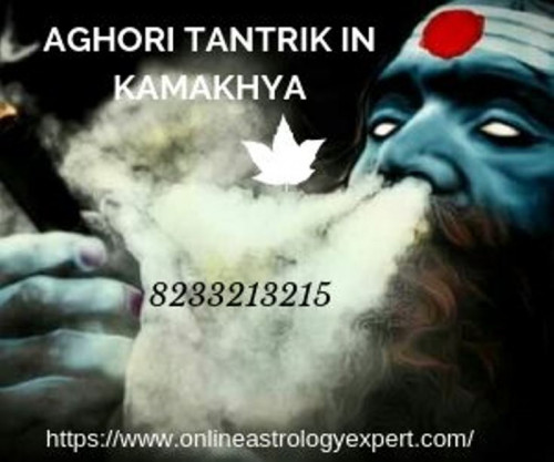 You can also consult Aghori Tantrik in Kamakhya improving for career & Profession prospects. With his professional, some people have reached the highest level of emotional well being, attain ease in children problems solution. So if you want to solve any problem then visit my site. Visit us: https://www.onlineastrologyexpert.com/aghori-tantrik-in-kamakhya/