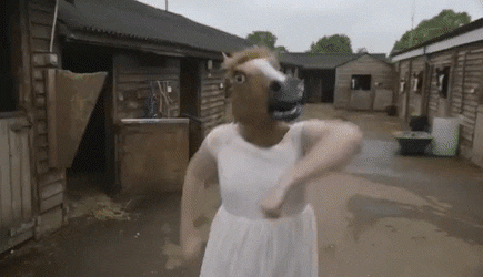 Angry horse
