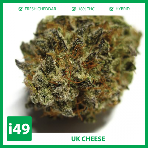 Buy Auto UK Cheese Marijuana seeds online now from I49. Call 1-888-544-4949 to buy Marijuana seeds from a weed seed bank in Canada.
https://weed-seeds.ca/product/auto-uk-cheese-fem/