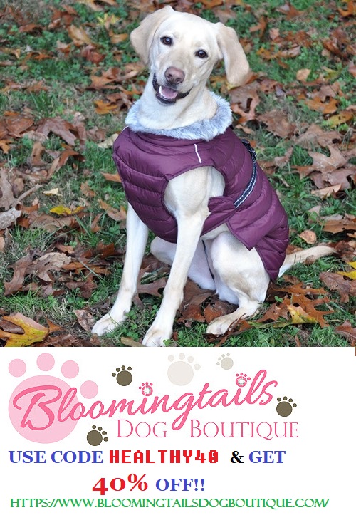 BIG-SALE-Save-40-on-ALL-Items---Bloomingtails-Dog-Boutique.jpg
