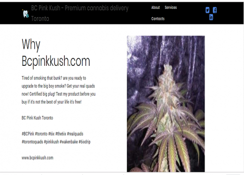 Bc-pink-KushPremium-cannabis-delivery-TorontoFlowr-bc-pink-kush-strain-reviews.png