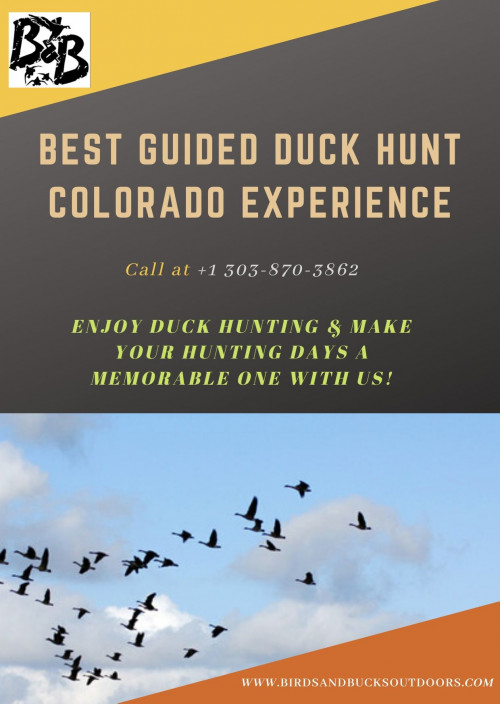Best Guided Duck Hunt Colorado Experience