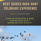 Best-Guided-Duck-Hunt-Colorado-Experience