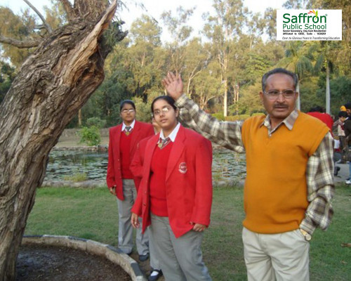Best-Teachers-in-Punjab---Saffron-School.jpg