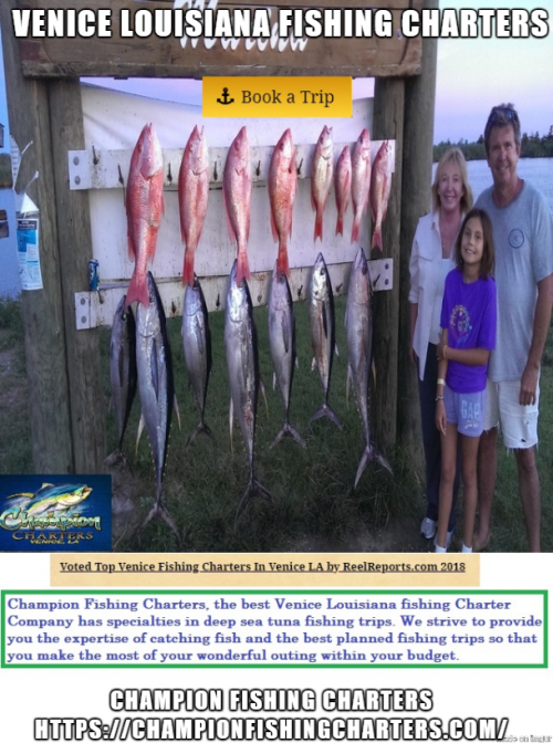 Champion Fishing Charters, the best Venice Louisiana fishing Charter Company has specialties in deep sea tuna fishing trips. We strive to provide you the expertise of catching fish and the best planned fishing trips so that you make the most of your wonderful outing within your budget.Visit,https://bit.ly/2S3y6pd