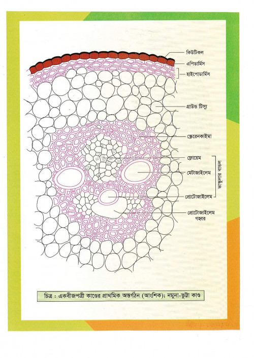 Bio-1stHasan-Sir-20_297.jpg