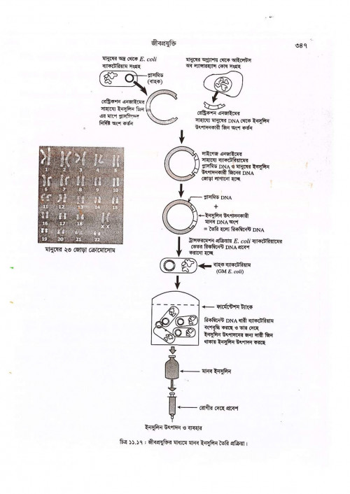 Bio-1stHasan-Sir-20_395.jpg