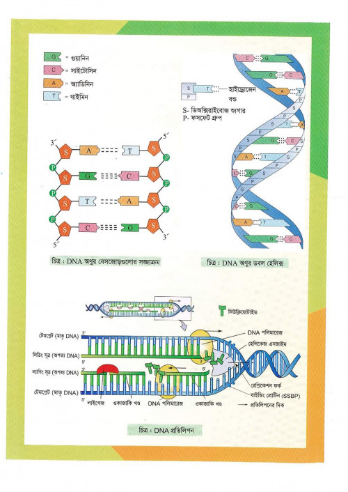 Bio-1stHasan-Sir-20_85.jpg