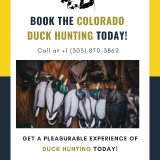 Book-the-Colorado-Duck-Hunting-Today