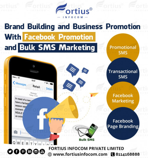 Brand-Building-and-Business-Promotion-with-Fortius-Infocom.jpg