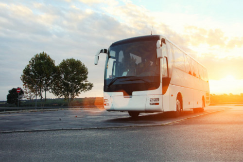 Bus-Driving-Blacktown.jpg