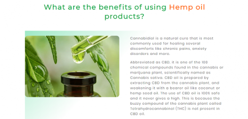 CBD-Hemp-OilCBD-Oil-For-SaleBuy-CBD-OilCBD-ProductsBuy-CBD-Oil-Online-4.png