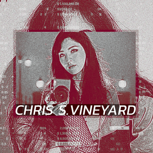 CHRIS S VINYARD