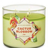 Cactus-Blossom-Candle