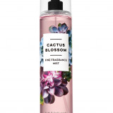 Cactus-Blossom-Fine-Fragrance-Mist